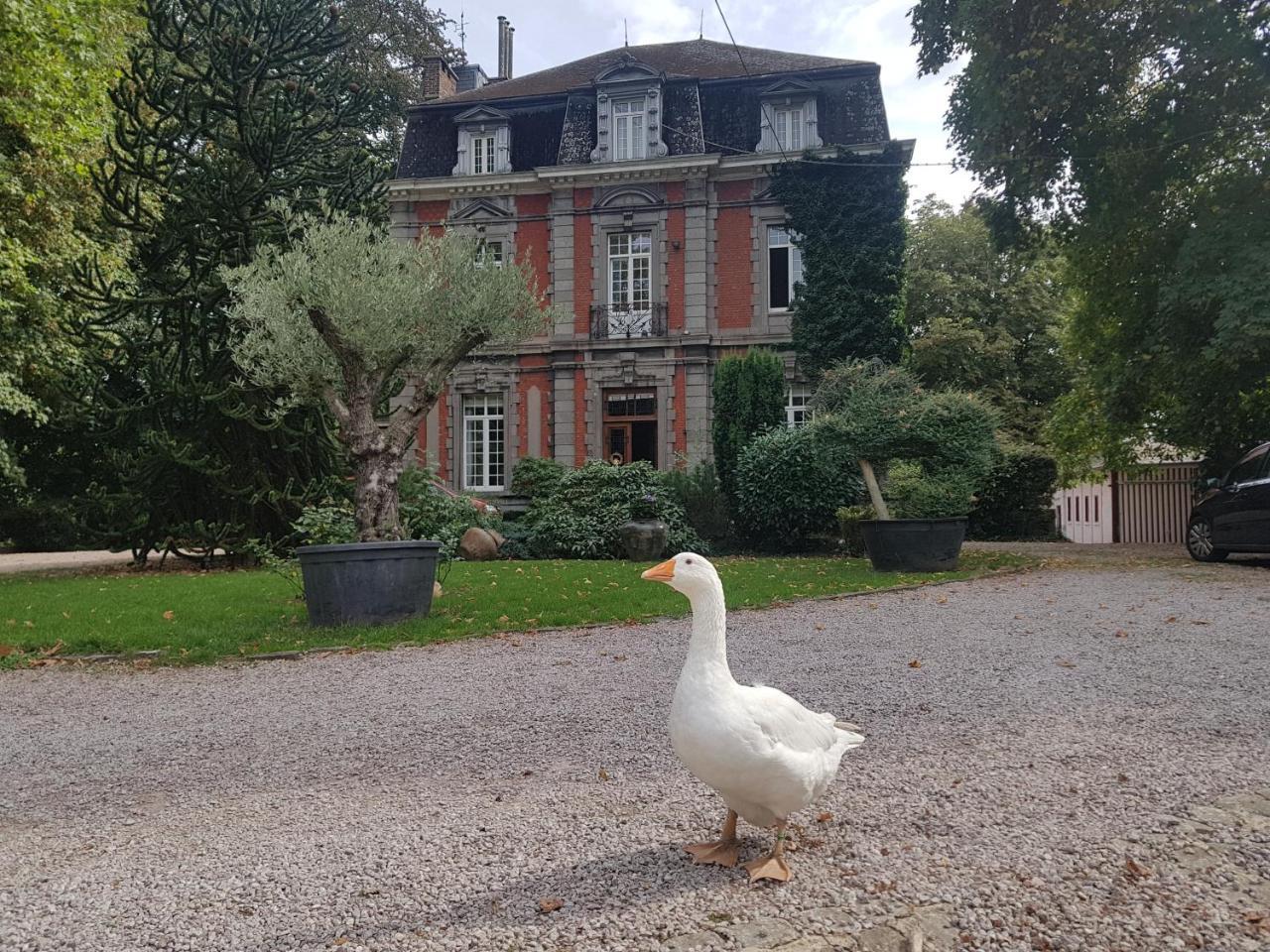Chateau Lambert Moulinsart Hotel, Shuttle Airport, Long Term Parking, Snooker, Large Terrasse, Dinner, Breakfast Charleroi Exterior foto